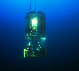 The Dive Industry